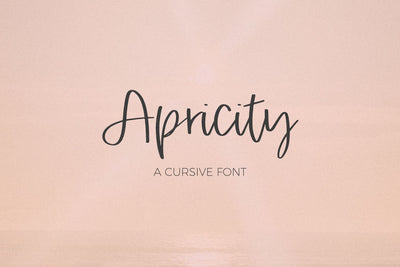 Apricity Script Font Beck McCormick 
