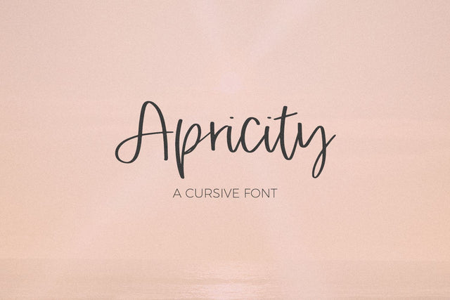 Apricity Script Font Beck McCormick 