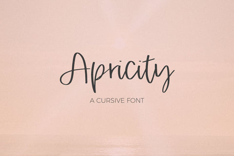 Apricity Script Font Beck McCormick 