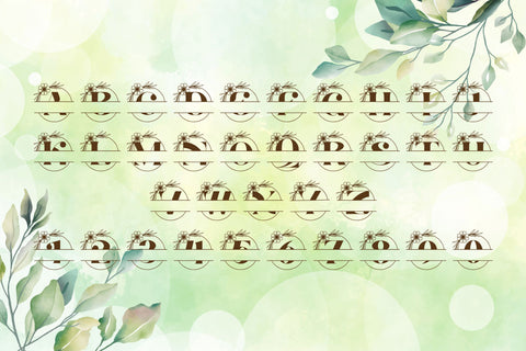 Arabesque Bloom Split Monogram Font Dm Letter Studio 