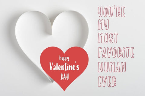 Arabica - Handwriting Font Duo Font AnningArts Design 