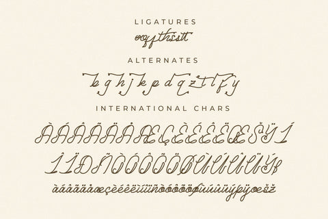 Arcadiny - Monoline Script Font Font Letterena Studios 