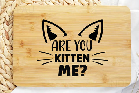 Are you kitten me-01 SVG Angelina750 