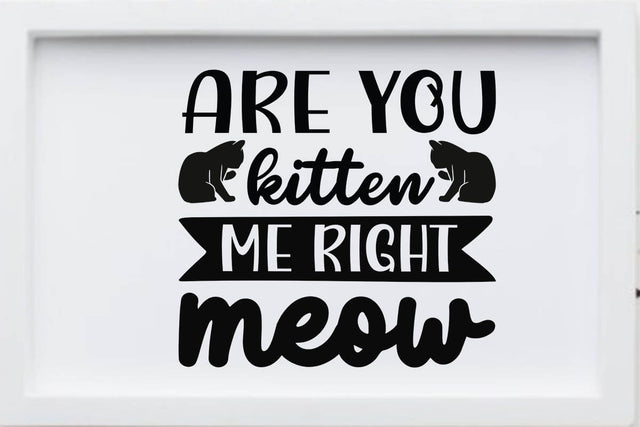 Are you kitten me right meow-01 SVG Angelina750 