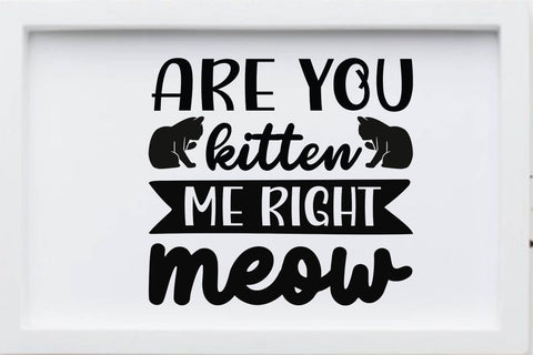 Are you kitten me right meow-01 SVG Angelina750 