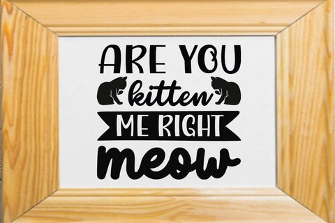 Are you kitten me right meow-01 SVG Angelina750 