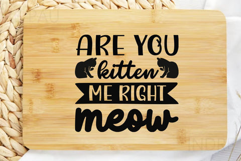 Are you kitten me right meow-01 SVG Angelina750 