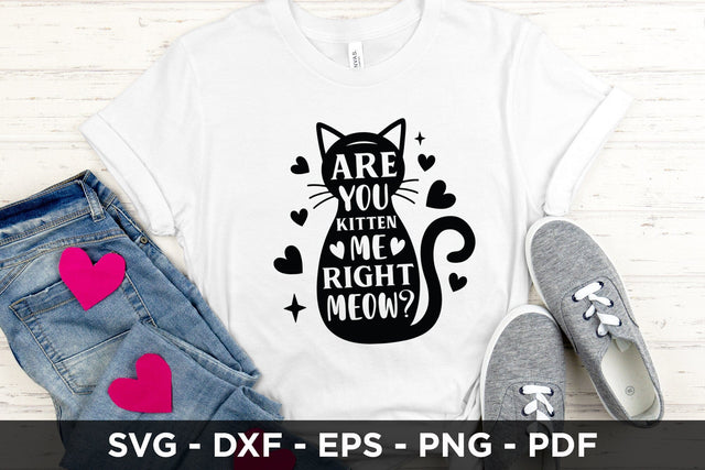 Are You Kitten Me Right Meow | Cat SVG SVG CraftLabSVG 