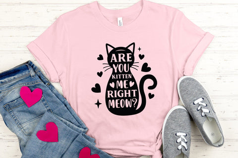 Are You Kitten Me Right Meow | Cat SVG SVG CraftLabSVG 