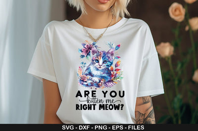 ARE YOU KITTEN ME RIGHT MEOW SVG SVG CraftingStudio 