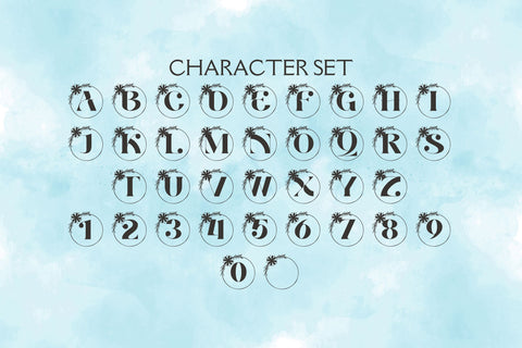 Aria Monogram Font Dm Letter Studio 