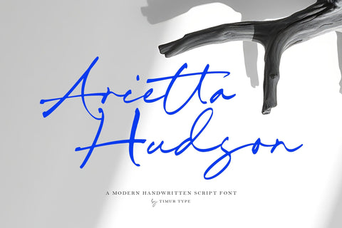 Arietta Hudson - Modern Handwritten Script Font Font Timur type 