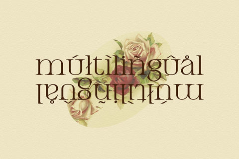 Armeston Display Typeface Font Fadeline Std. 