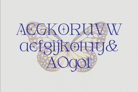 Armeston Display Typeface Font Fadeline Std. 