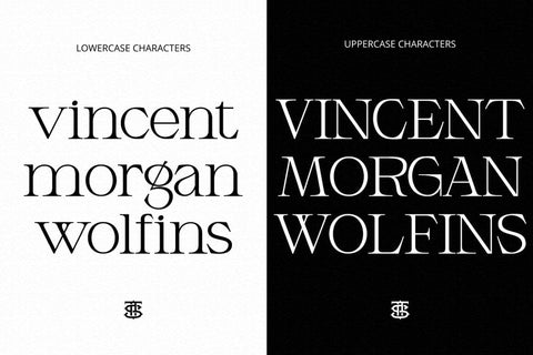 Armeston Display Typeface Font Fadeline Std. 
