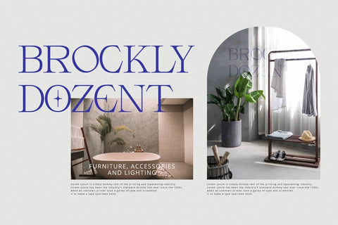 Armeston Display Typeface Font Fadeline Std. 