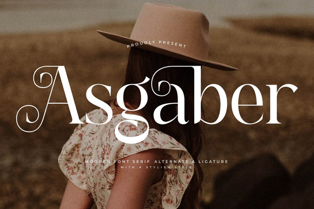 Asgaber - Modern Font Serif Font Storytype Studio 