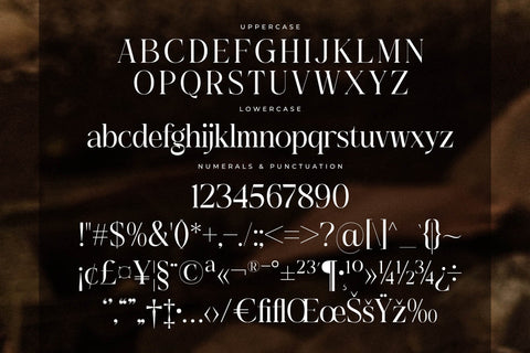 Asgaber - Modern Font Serif Font Storytype Studio 