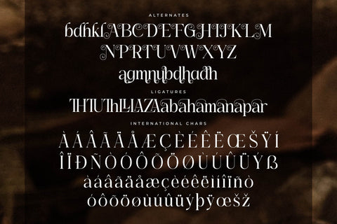 Asgaber - Modern Font Serif Font Storytype Studio 