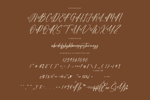 Ashtonjio Grahamte - Modern Signature Font Font Letterena Studios 