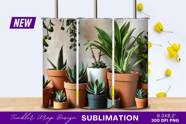 Assorted Succulent Plants In Pots Indoor Sublimation Regulrcrative 