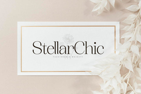 Asthelica Questak Font Duo Font Storytype Studio 