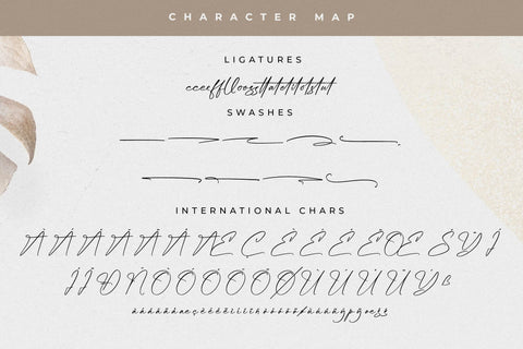 Asthelica Questak Font Duo Font Storytype Studio 