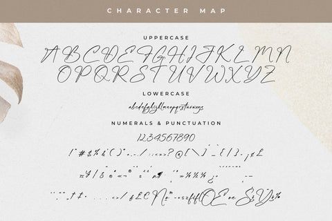 Asthelica Questak Font Duo Font Storytype Studio 