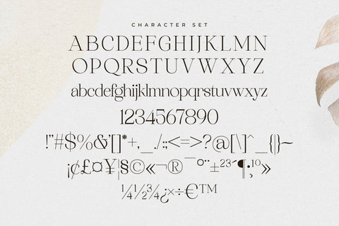Asthelica Questak Font Duo Font Storytype Studio 