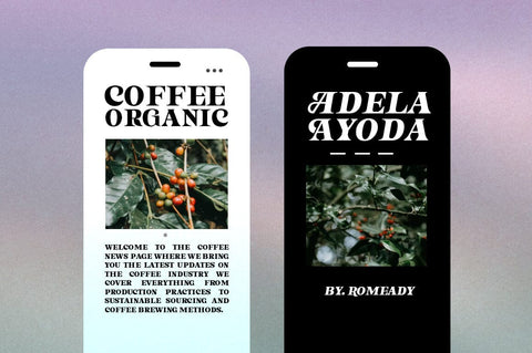 Astone Nisam Font gatype 