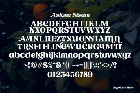 Astone Nisam Font gatype 