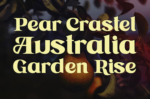 Astone Nisam Font gatype 