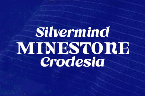 Astone Nisam Font gatype 