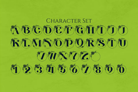 Astrid Monogram Font Dm Letter Studio 