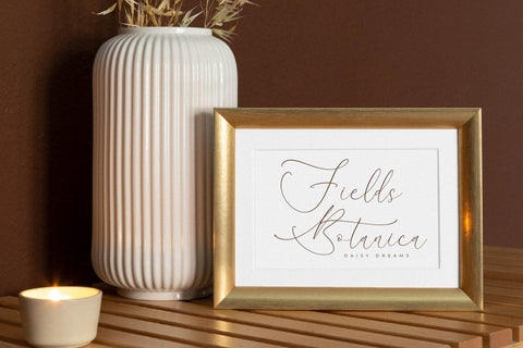 August Sterling - Beauty Calligraphy Script Font Storytype Studio 