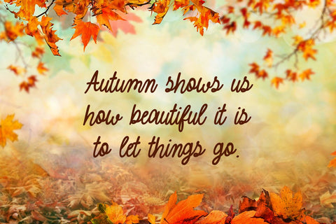 August Vibes Font Misti's Fonts 