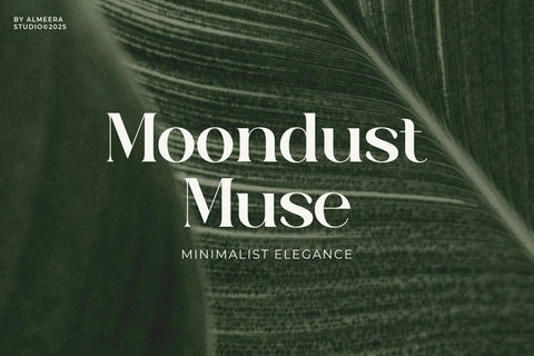 Auralux - Modern Serif Font studioalmeera 