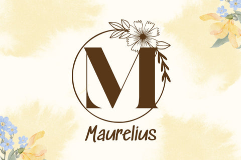 Aureus Charm Monogram Font Dm Letter Studio 