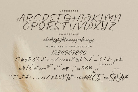 Aurora Magnollia Font Duo Font Storytype Studio 