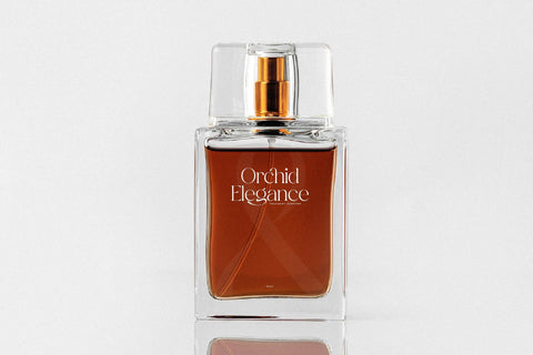 Aurora Magnollia Font Duo Font Storytype Studio 