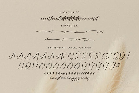 Aurora Magnollia Font Duo Font Storytype Studio 