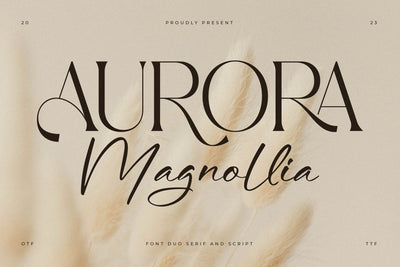 Aurora Magnollia Font Duo Font Storytype Studio 