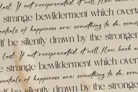 Aurora Magnollia Font Duo Font Storytype Studio 