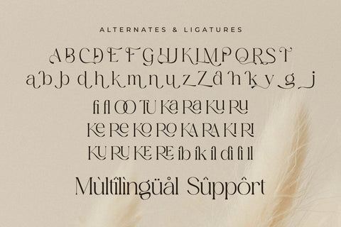 Aurora Magnollia Font Duo Font Storytype Studio 