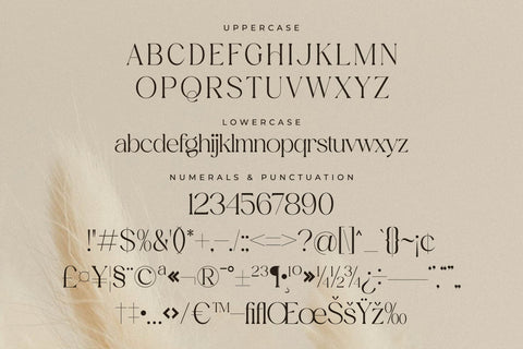 Aurora Magnollia Font Duo Font Storytype Studio 