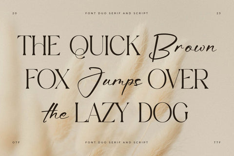 Aurora Magnollia Font Duo Font Storytype Studio 