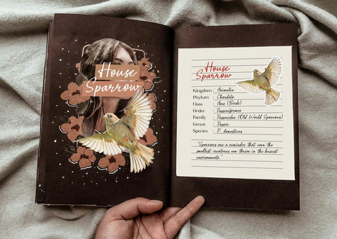 Austin Lilly / Organic Handwritten Font Javapep 