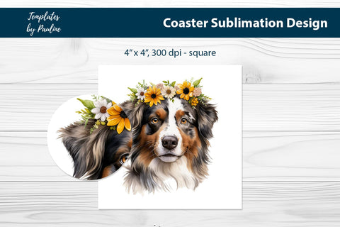 Australian Shepherd Coaster Design for Sublimation Sublimation Templates by Pauline 