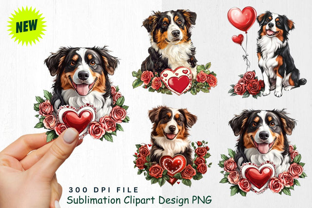 Australian Shepherd with Valentine's Card and Roses Clipart Sublimation Regulrcrative 