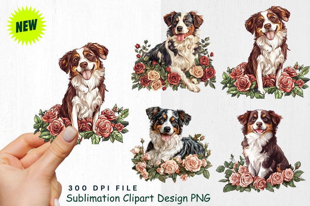 Australian Shepherd with XOXO on Roses Bed Clipart Sublimation Regulrcrative 